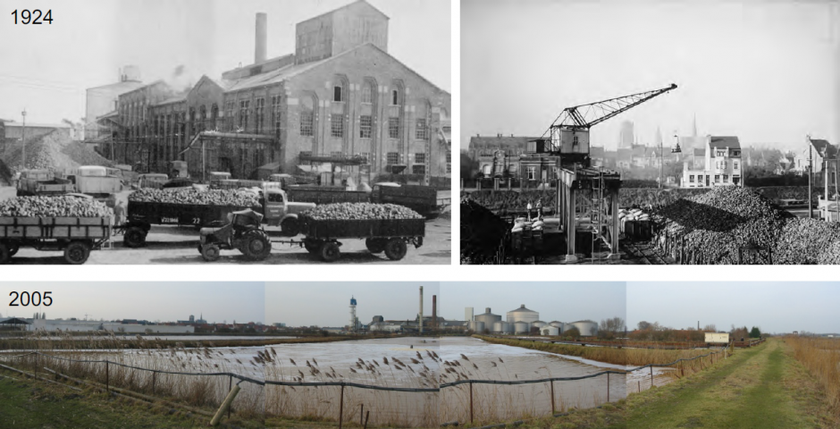 Historiek Suikerfabriek 1924-2005